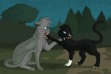 Cynder Cynder