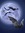 MoonDance