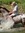 Jim (JimMacLachlan) | 853 comments