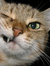 Cathie