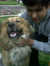 Rahul