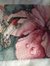 Colleen Stitch