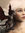 Dany