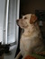 Amy