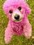 Fifi