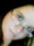 Caitlin