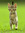 hnatt | 3 comments