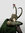 Boo *Marvel Fan!* (LokiTheFerret) | 1562 comments