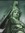 Gaia