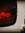 Abbi | 42 comments