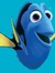 Noha