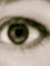 Alisha