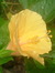 Margaret