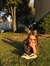 fifi boo