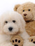lovedogs28