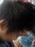 Tom Luu