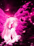 ஐღSaritaღஐ