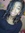 Brie (: (briebrie5) | 81 comments