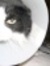 Margaret