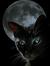 Blackcatmoon66
