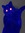Kat