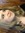 Katelyn