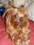 Marsha