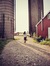 Thefarmingdaughter