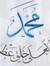 Reem Sbahi shouib
