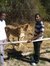 Alfred Chiromba