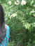 Aleena