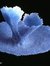 Azurechel Leiya