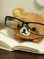 ʚɞ Zhraa ADel ʚɞ