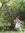 Tacuazin | 27 comments