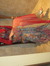 Hadeel
