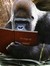 Chris The Story Reading Ape