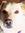Shyloh | 485 comments
