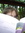Danielle | 55 comments