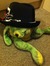 Lauraandfrogger