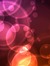Shafia