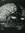 Brainfromarous | 52 comments