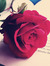 Romina
