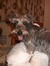 Doreen
