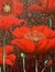 Carol Hassett