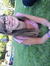 Taylor