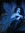 Wendy *Sebella Blue* Mitchell