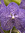 Renuka | 5 comments