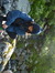 Martina