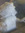 Theo | 111 comments