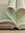 LiteraryLover